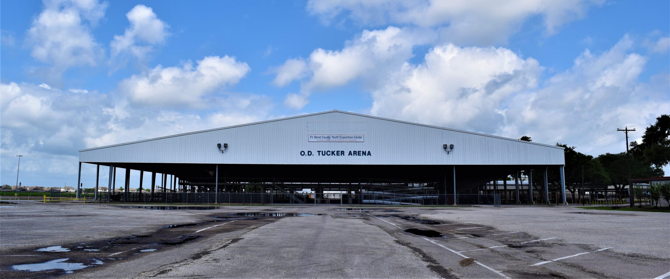 Artificial turf services in Rosenberg, TX